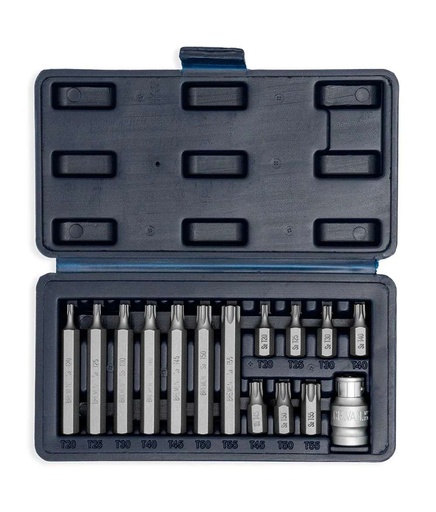 JGO.PUNTAS TORX  X 15 PZS BREMEN® (ACERO S2) (8307)
